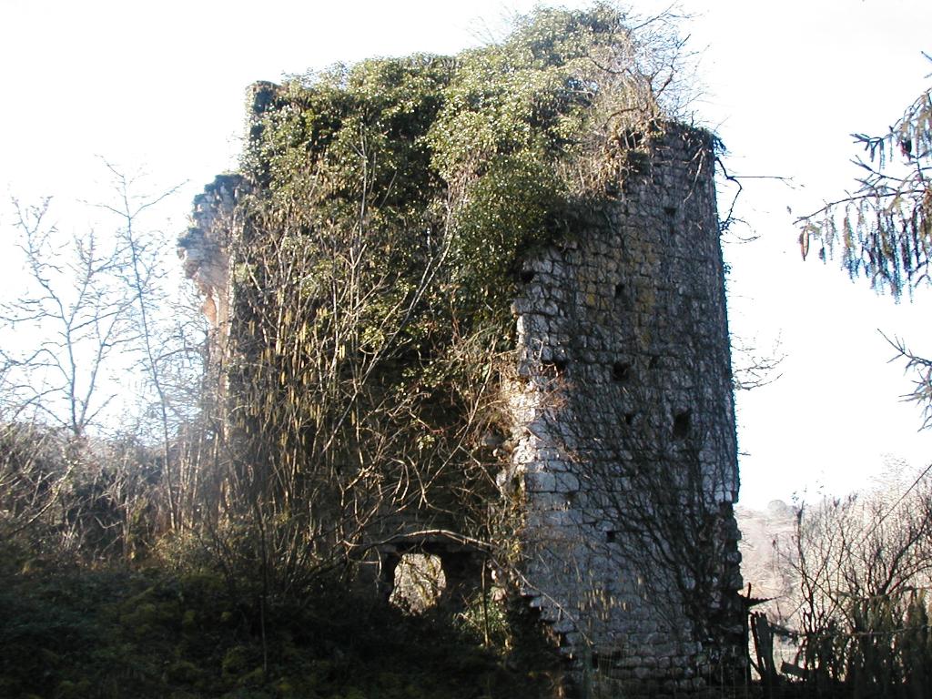 ensemble castral : castrum