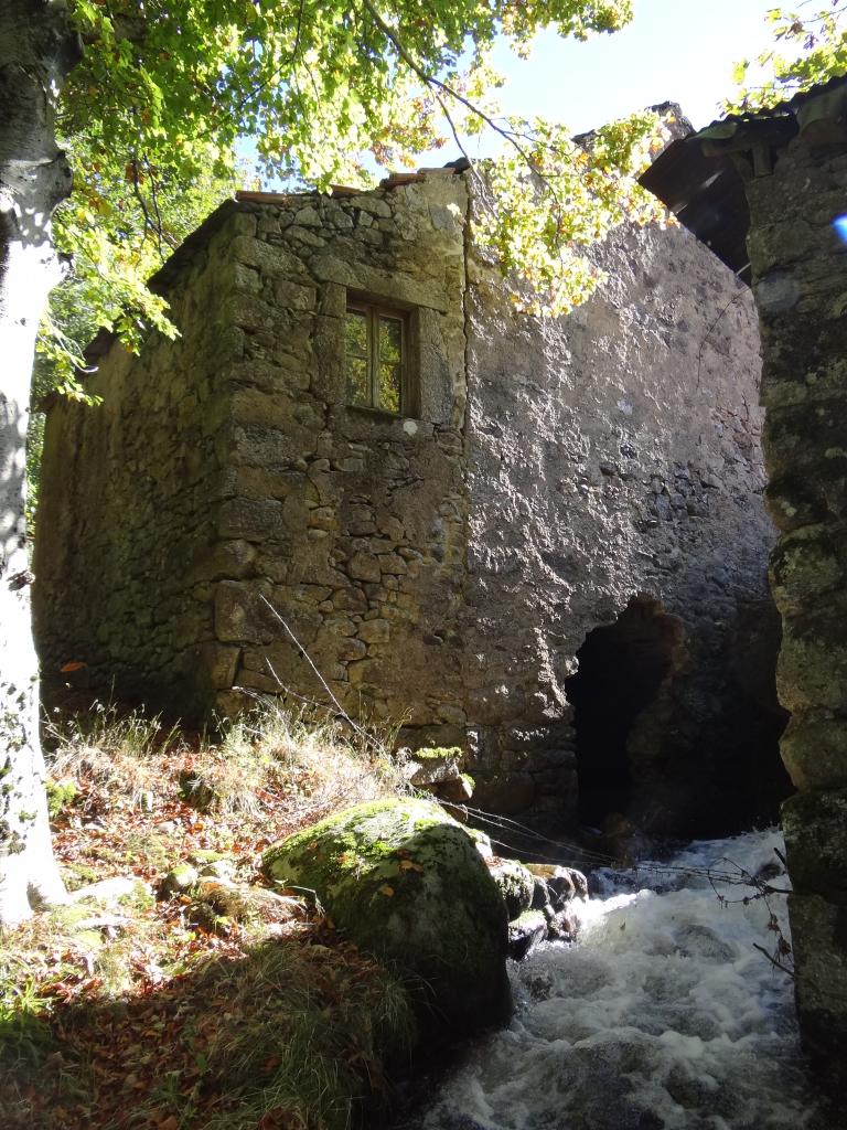 Moulin et scierie