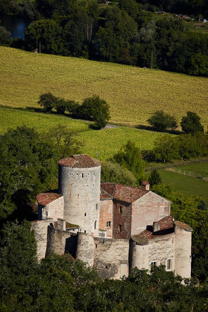 château de Laroque, dit Borie de Polminhac