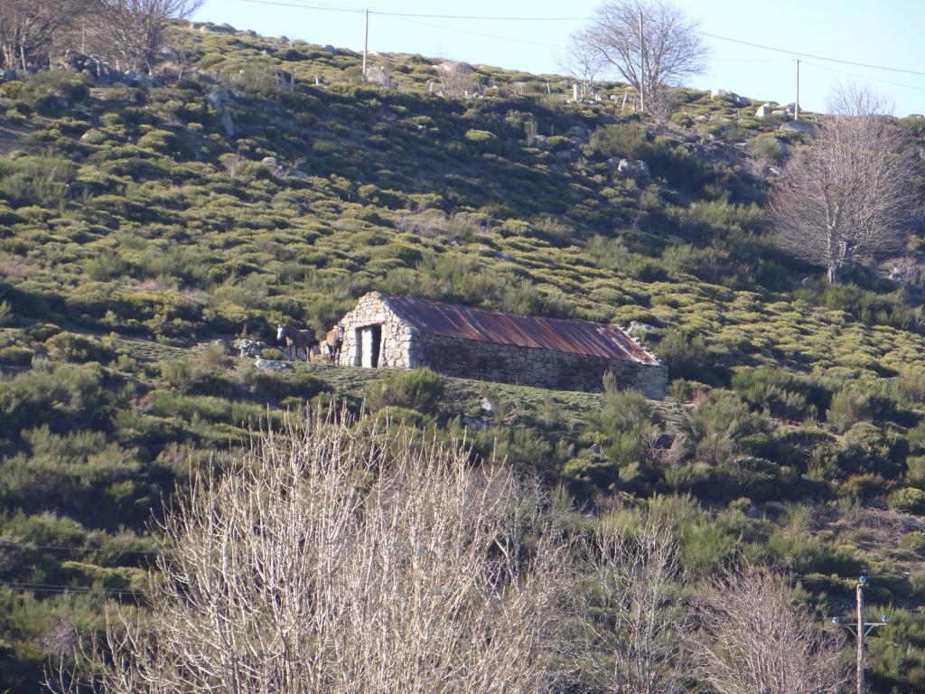 Jasse de Finialette