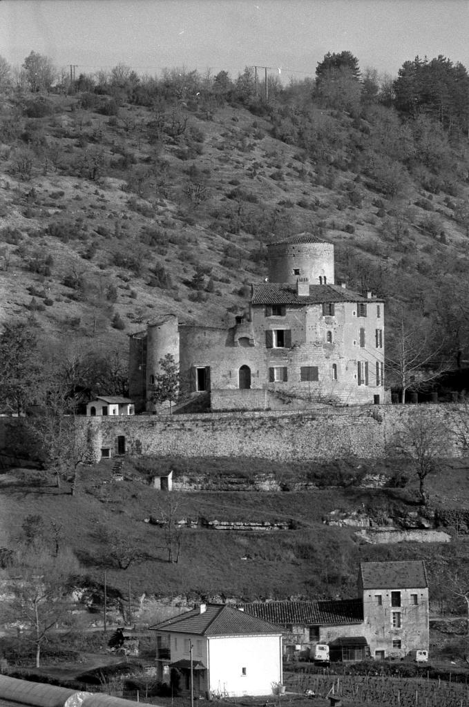château de Laroque, dit Borie de Polminhac