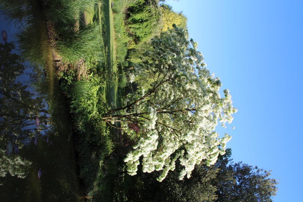 jardin botanique dit Les Martels