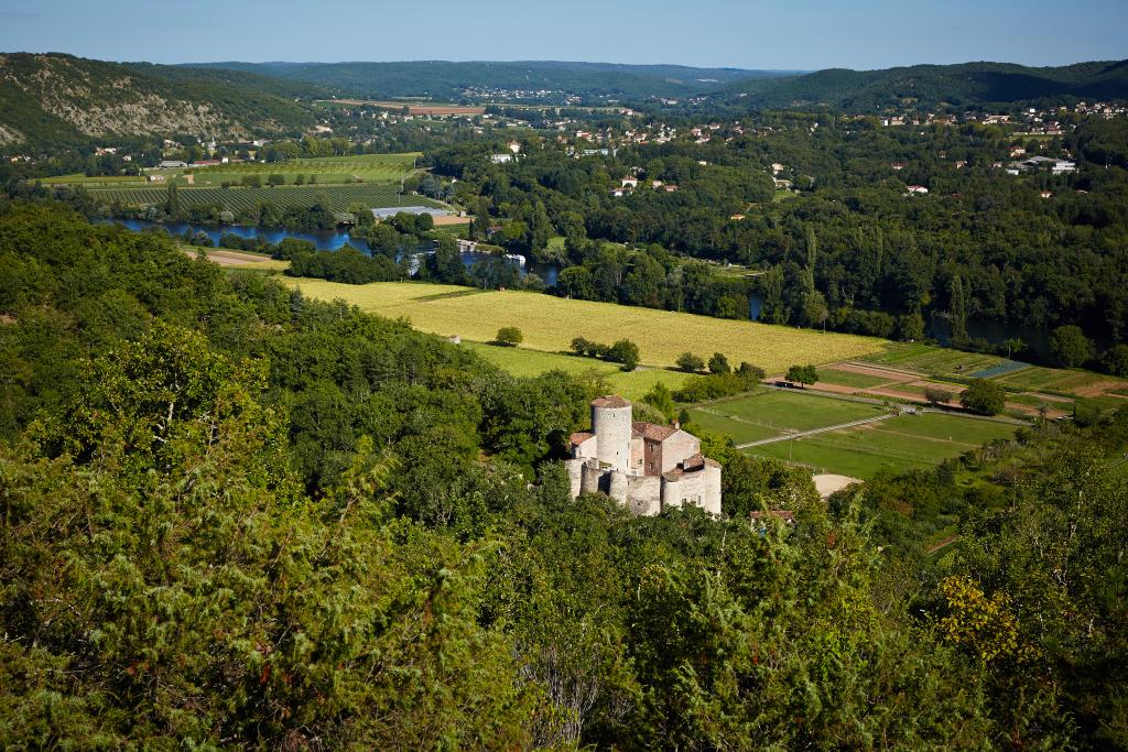 château de Laroque, dit Borie de Polminhac