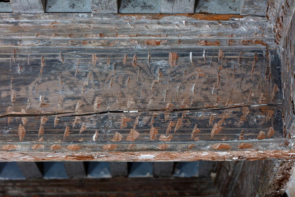 ensemble des peintures monumentales du château