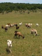 ferme de Lamayou