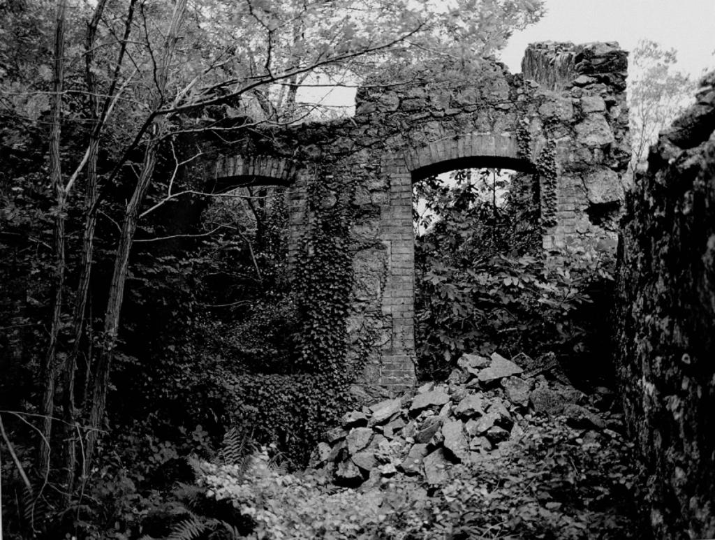 usine de préparation de produit minéral (laverie de minerai de plomb argentifère) dite Laverie des Mines de Génolhac et du Chassezac