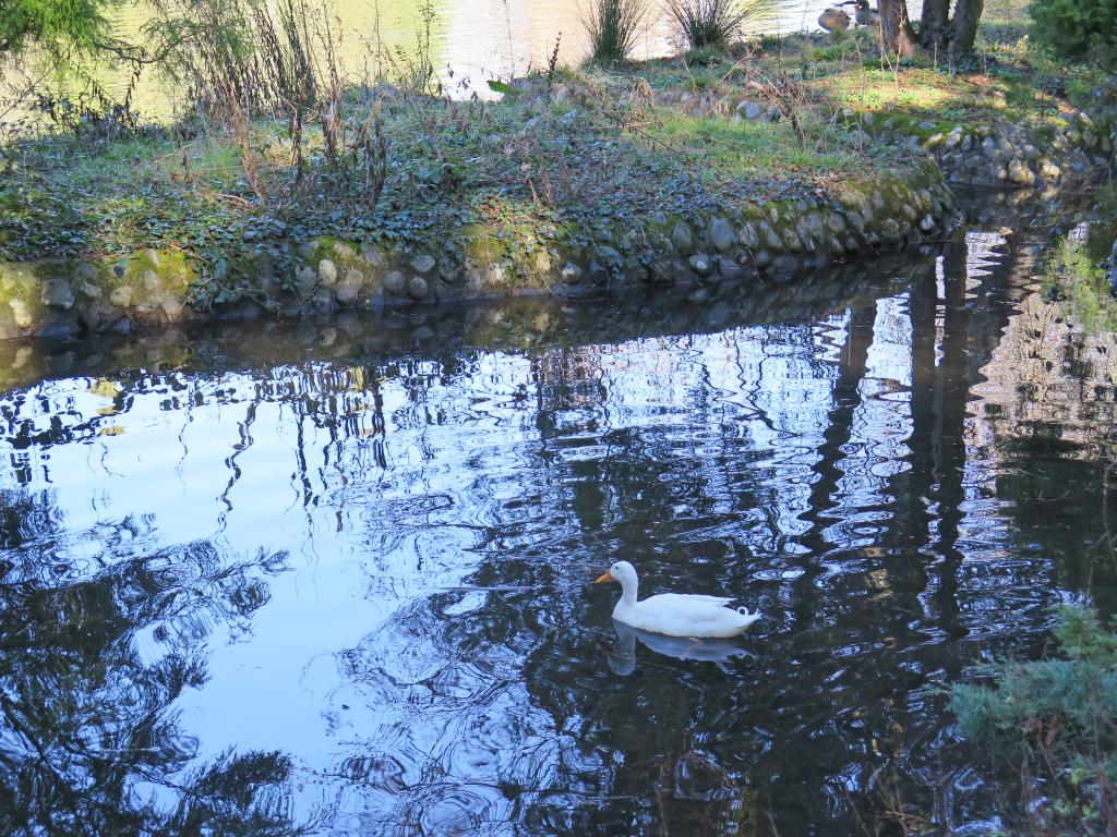 ancien jardin botanique dit Jardin Massey actuellement jardin public