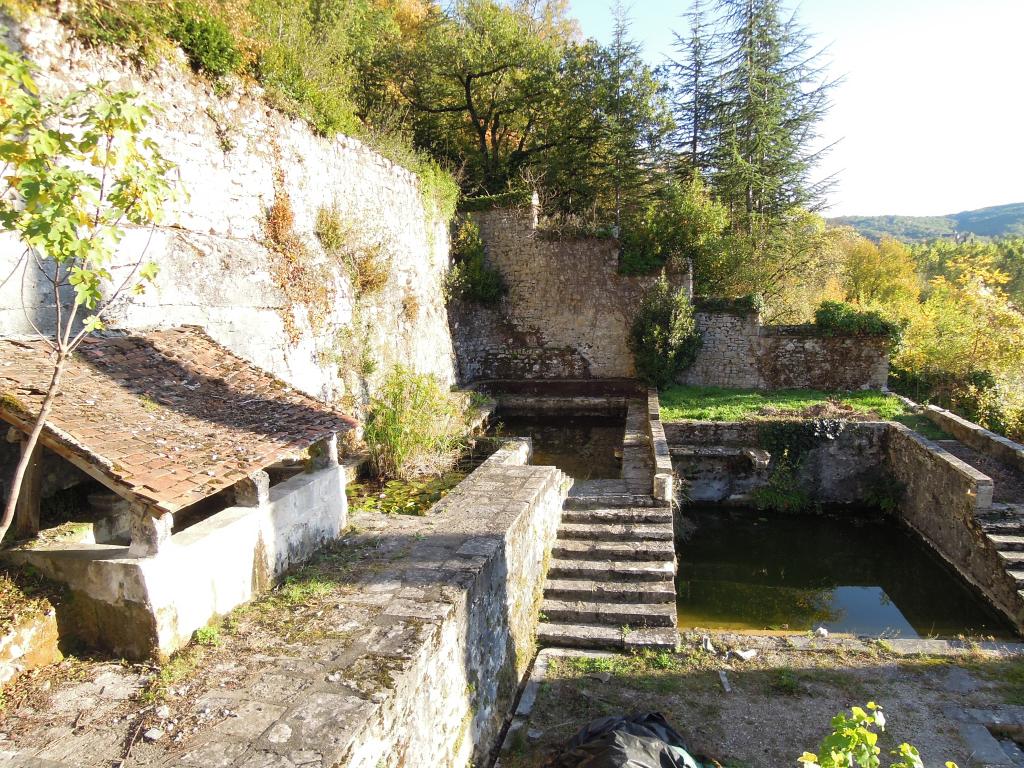 jardin