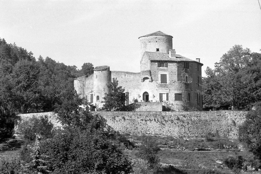 château de Laroque, dit Borie de Polminhac