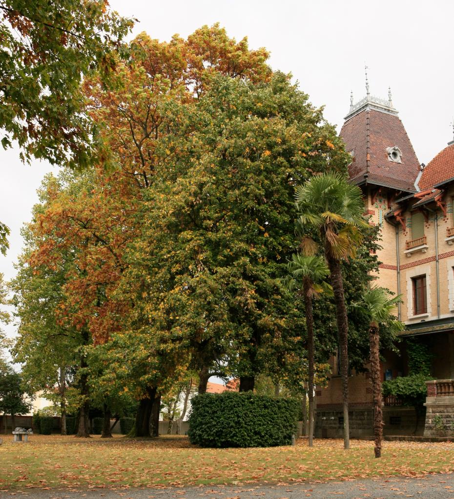 jardin de la villa Oustau