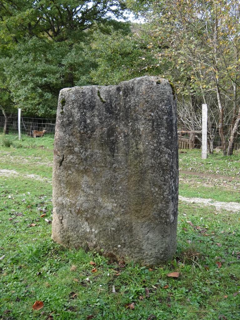 statue-menhir de Cacavel