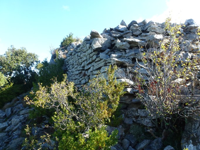 Ruines du château de Castelas
