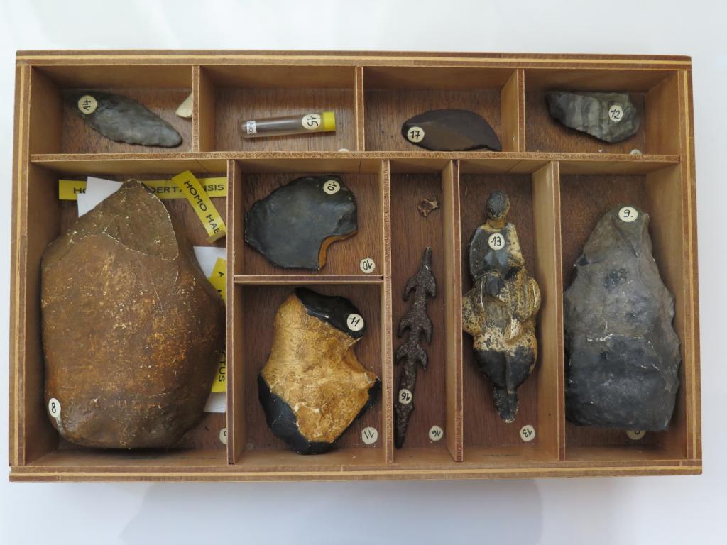 ensemble d'objets de représentation scientifique et pédagogique préhistorique