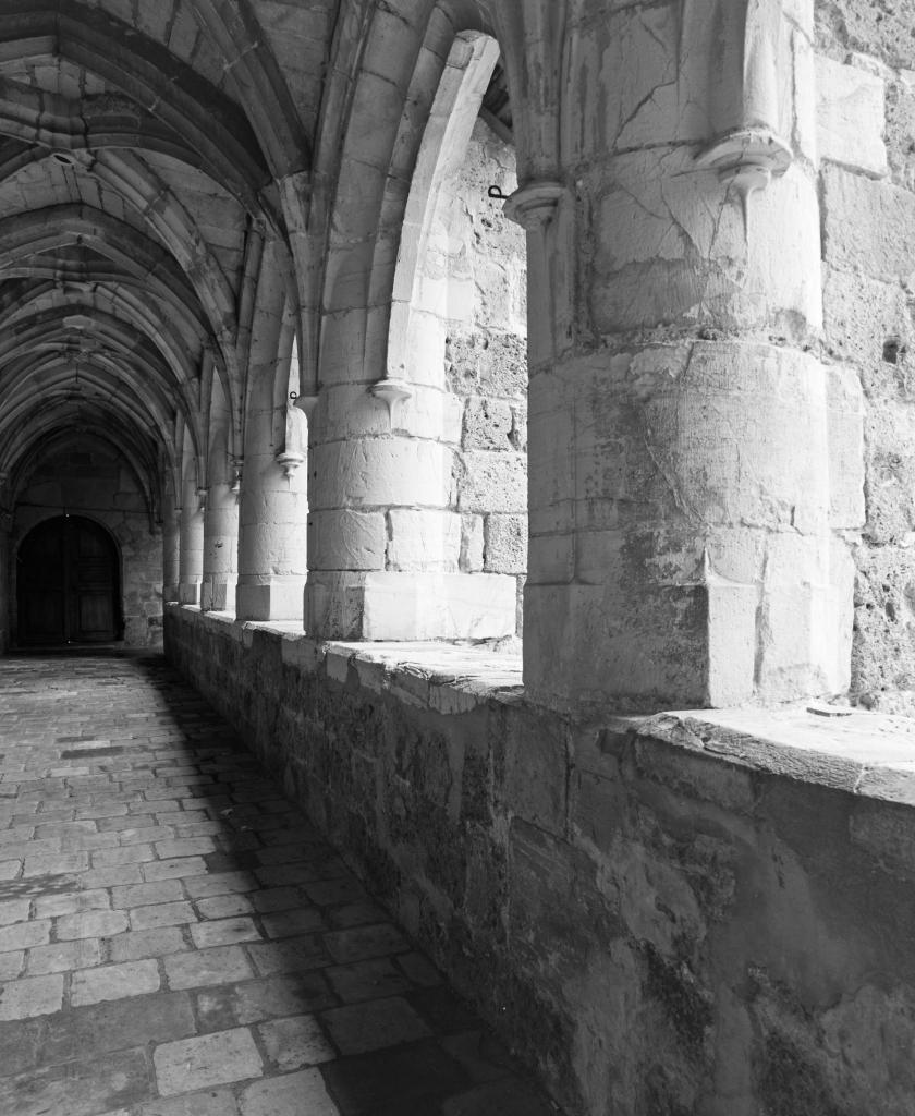 couvent de chartreux : chartreuse Saint-Sauveur