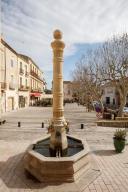 fontaine à la colonne monumentale