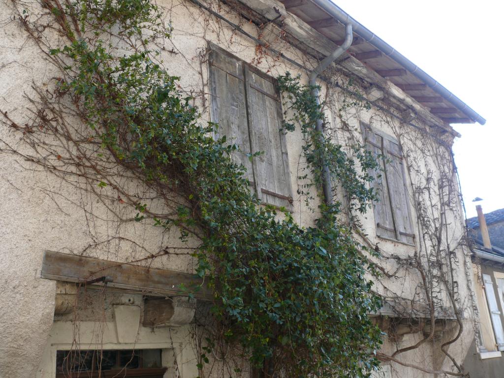 maison