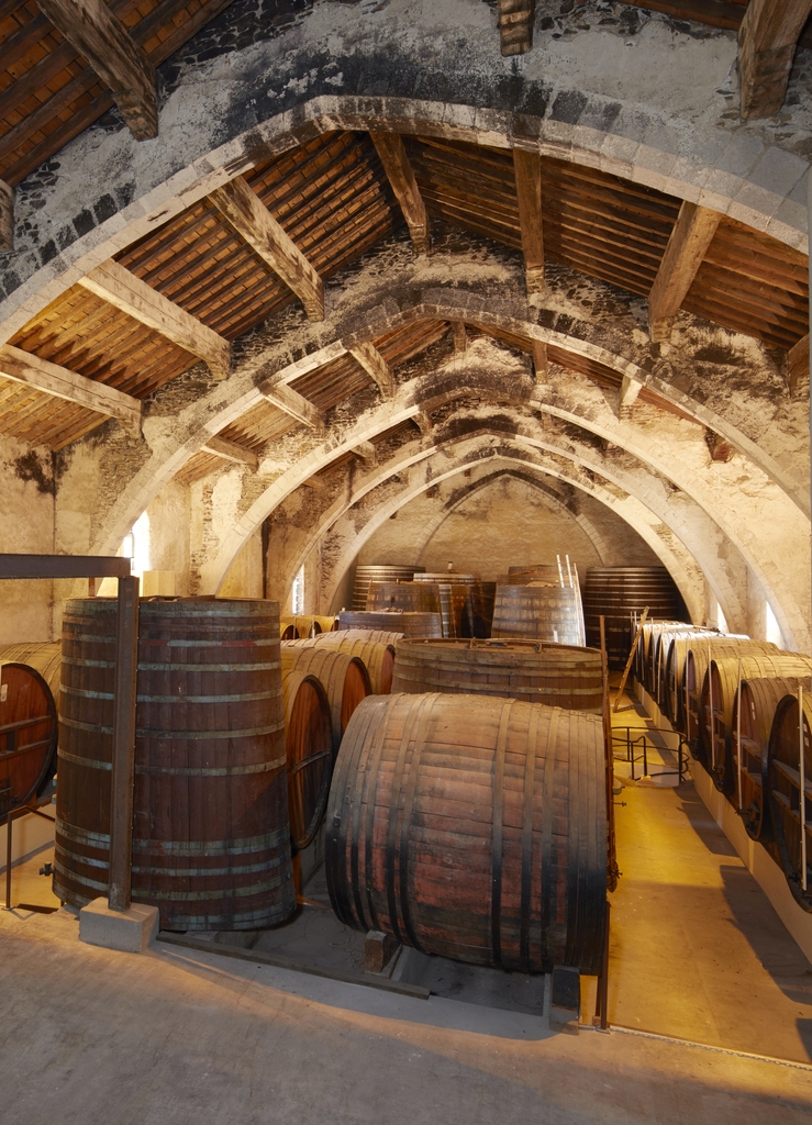 église ; coopérative vinicole (église de Dominicains) de Collioure, actuellement Le Dominicain