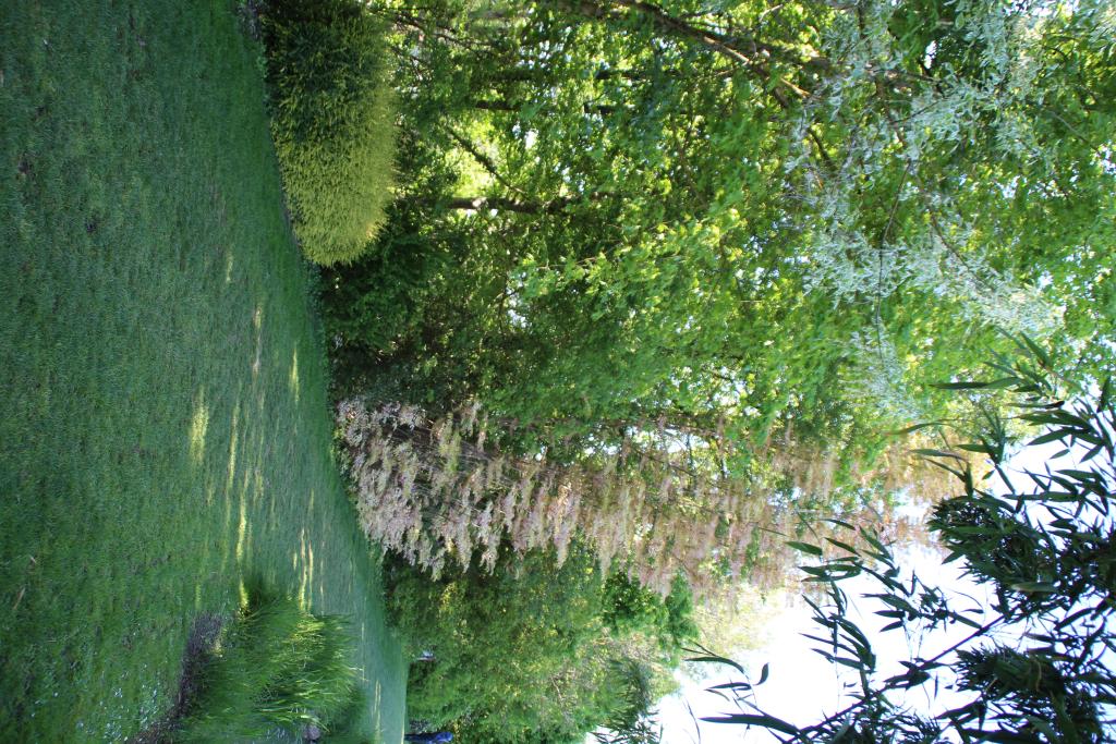 jardin botanique dit Les Martels