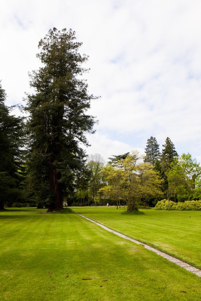 ancien jardin botanique dit Jardin Massey actuellement jardin public