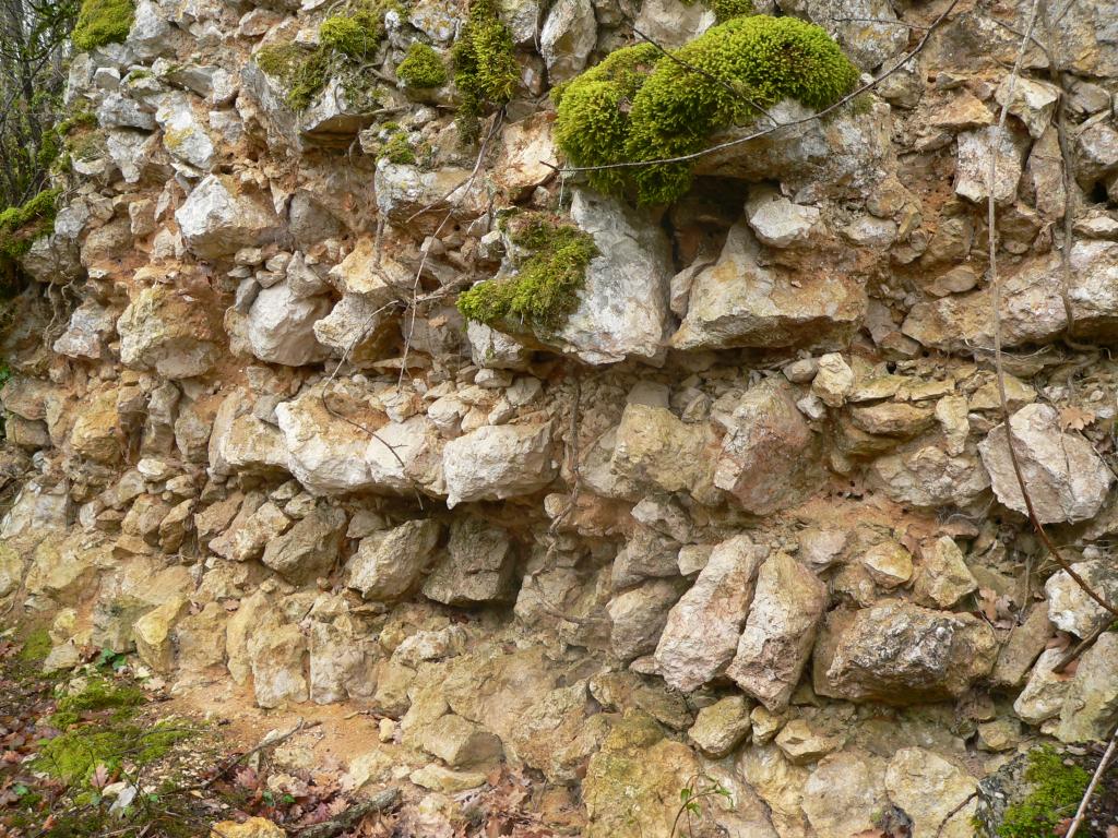 village : castrum