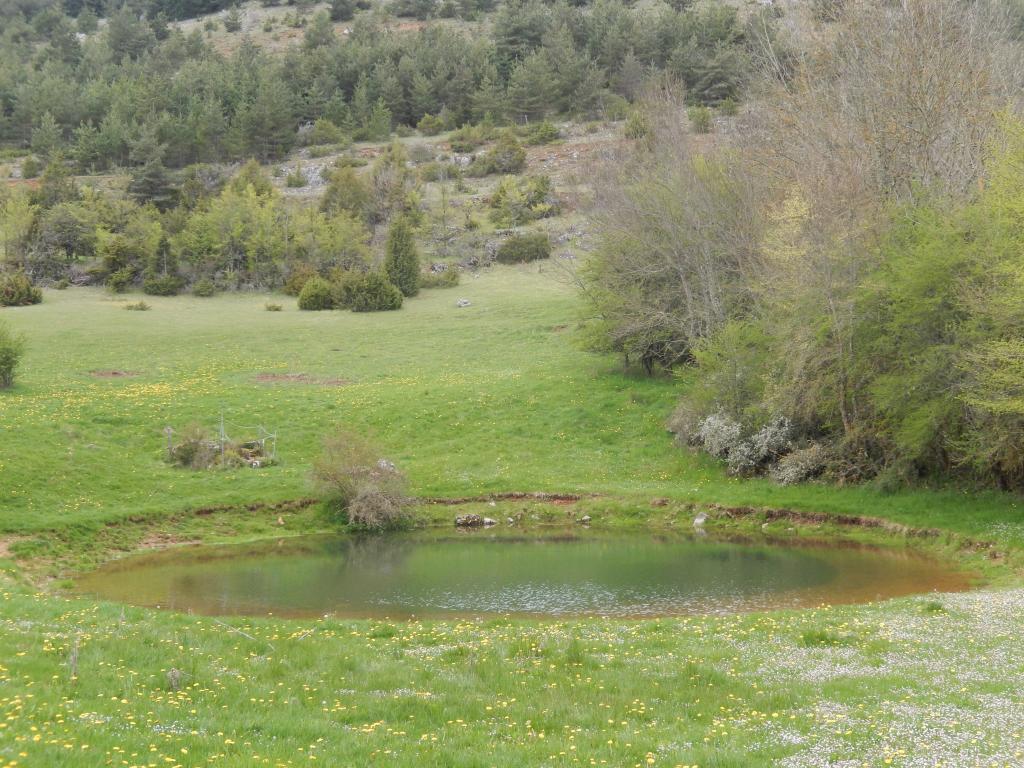 lavogne du Buffre