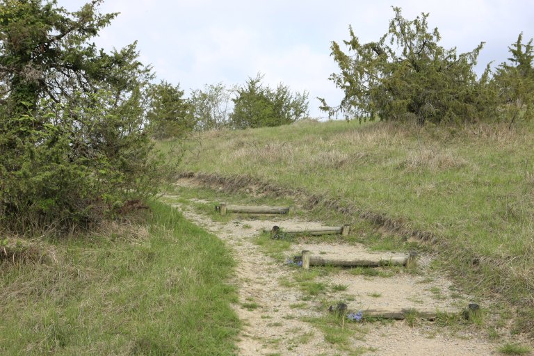 jardin botanique et zoologique, paysage naturel dit Marais de Bonnefont