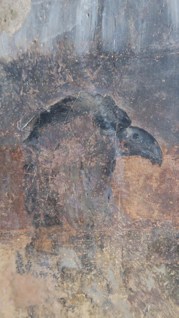 Les peintures murales du studiolo
