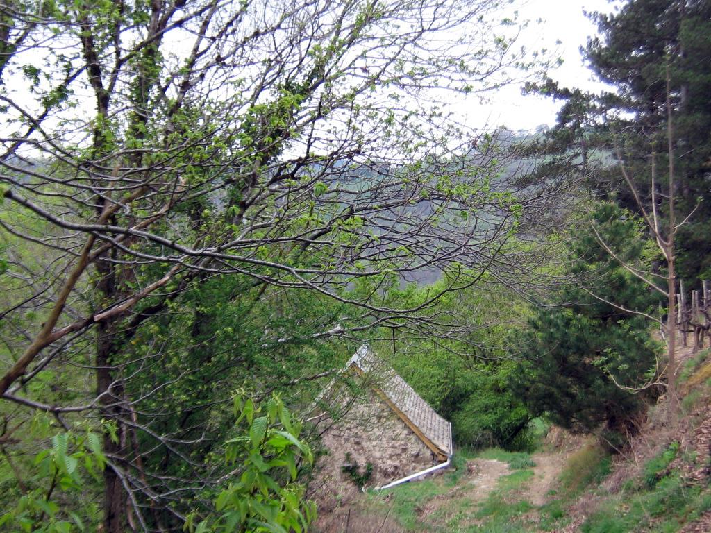 ensemble des maisons de vigne