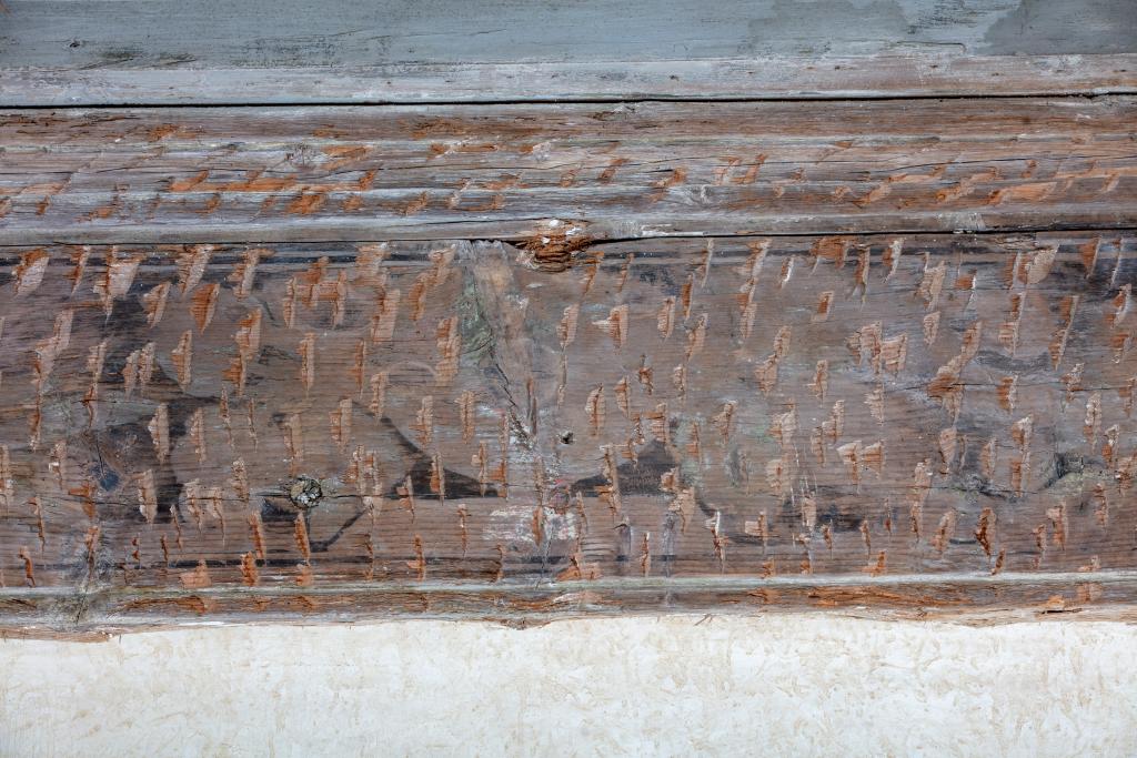 ensemble des peintures monumentales du château