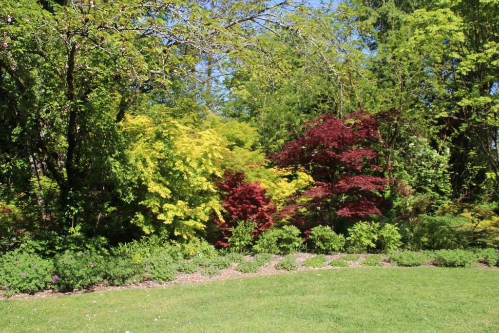 jardin botanique dit Les Martels