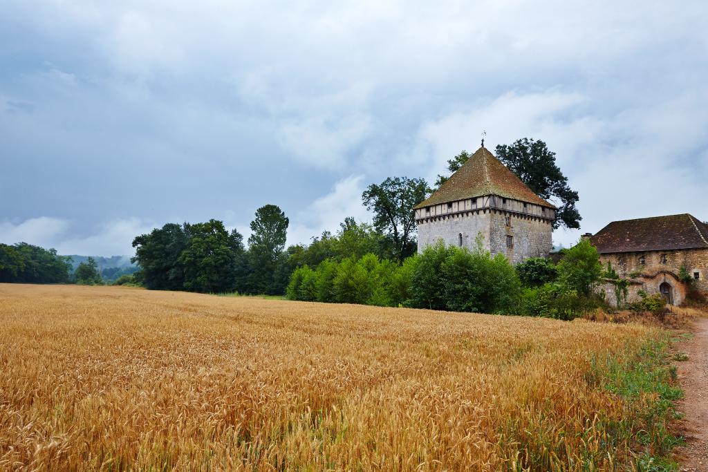 maison forte, moulin