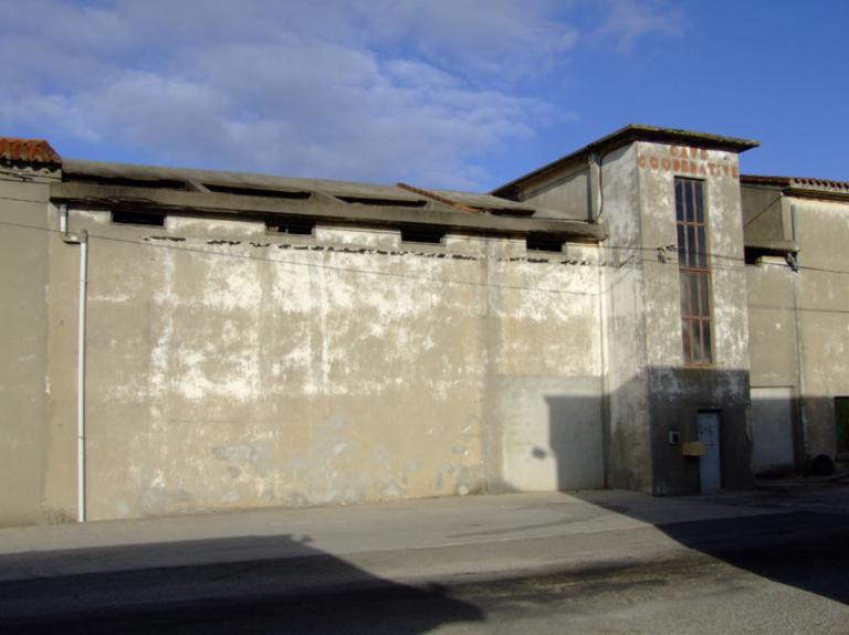 coopérative vinicole