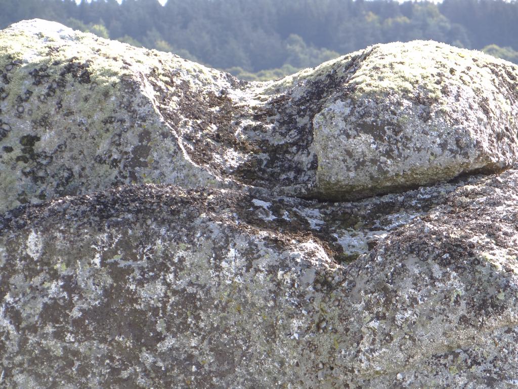 ferme