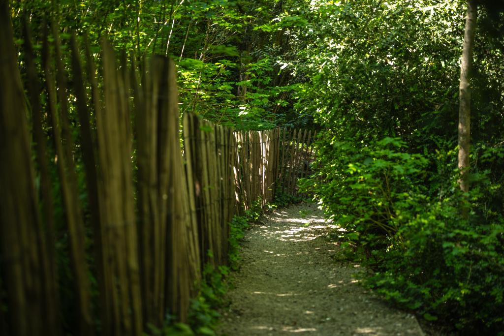 jardin d'agrément dit parc de Rochegude