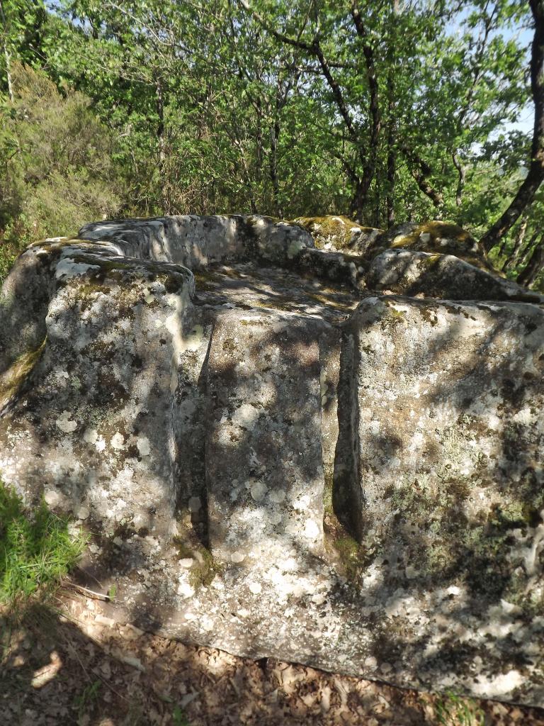 pressoir dit de Savignac