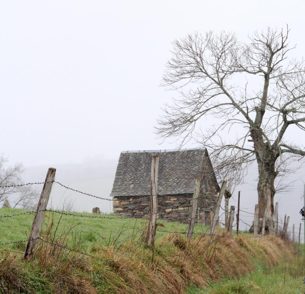 ensemble des maisons de vigne