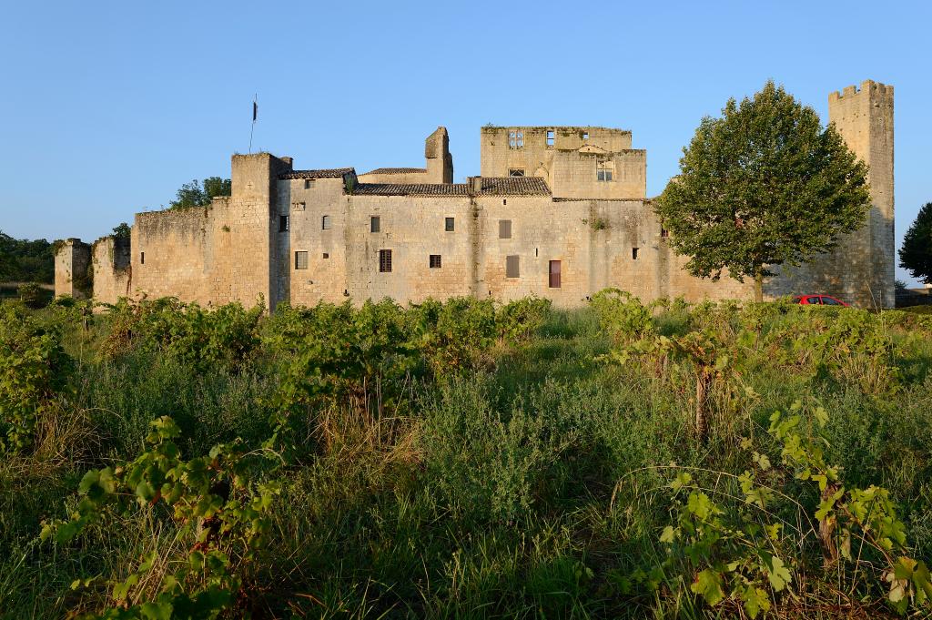 village de Larressingle