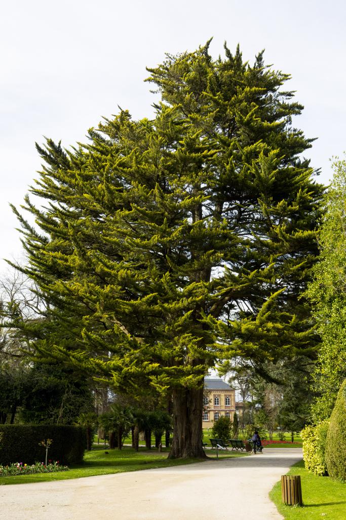 ancien jardin botanique dit Jardin Massey actuellement jardin public