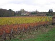 demeure, domaine viticole de Touni-les-Roses