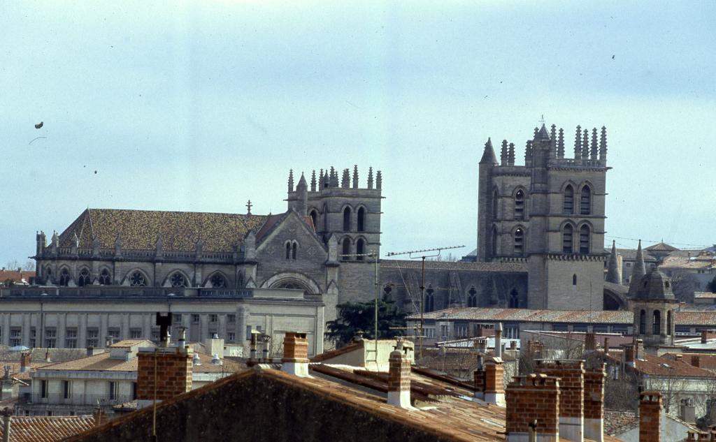 ancien couvent de bénédictins dit monastère et collège Saint-Benoît, cathédrale Saint-Pierre, actuellement faculté de médecine