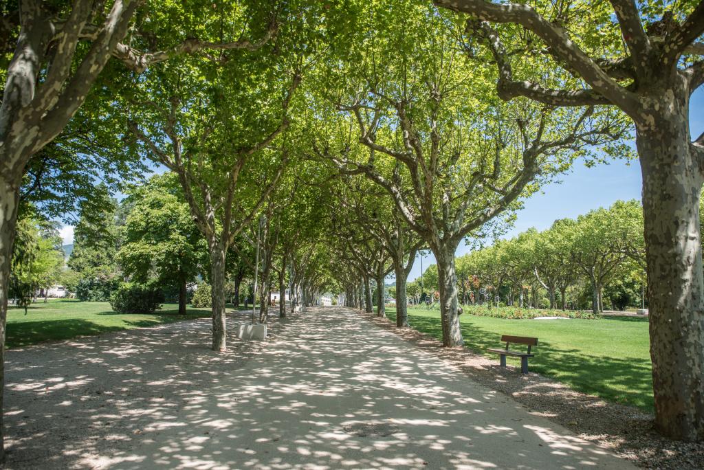 jardin public dit Parc de la Victoire