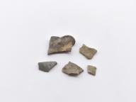 Paléontologie - Pachydictya foliota