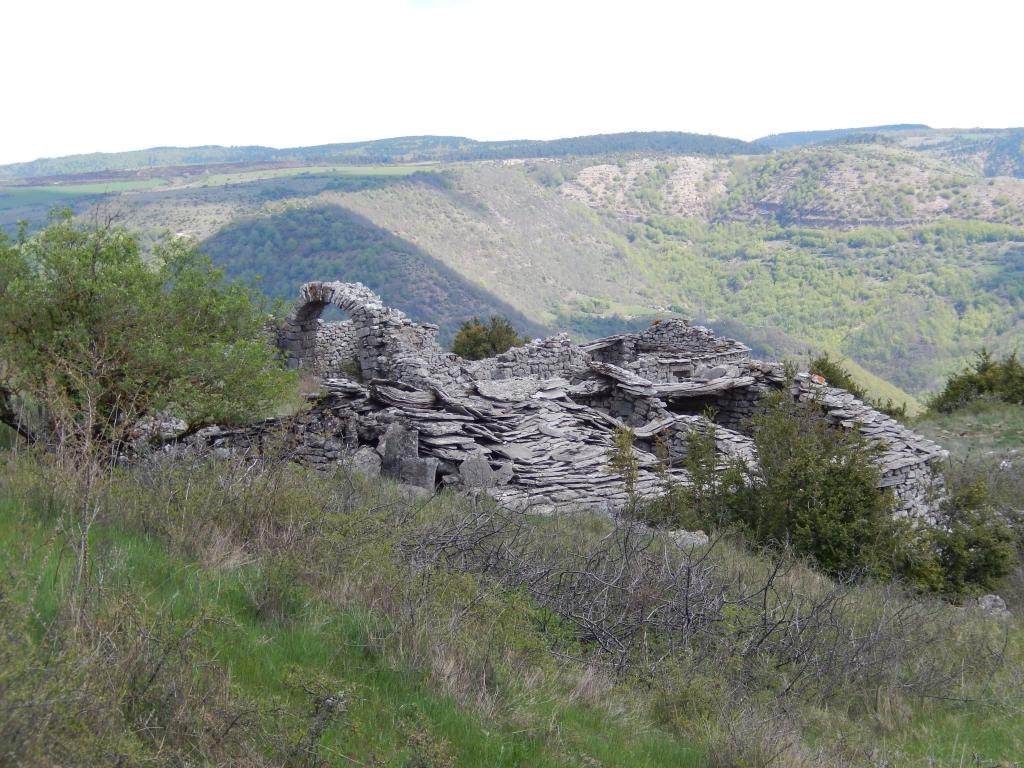 jasses de Croupillac