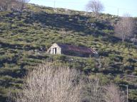 Jasse de Finialette