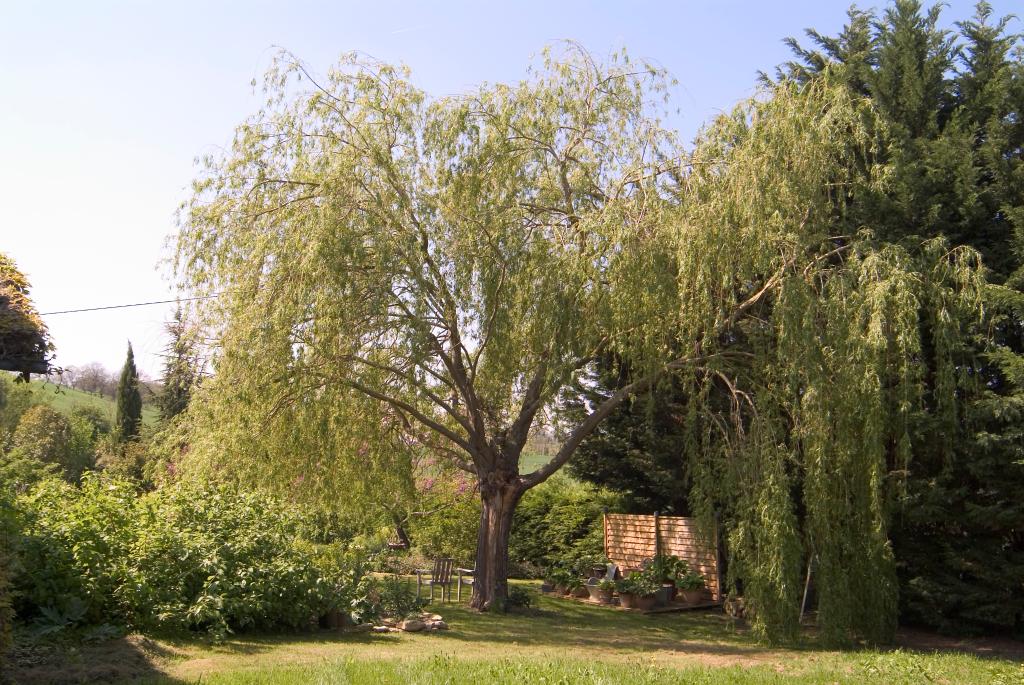 jardin d'agrément d'Entêoulet