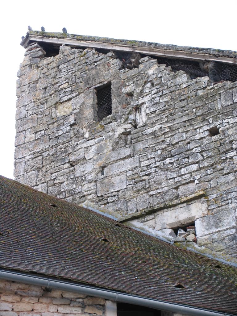 édifice à fonction non identifiée : château ?