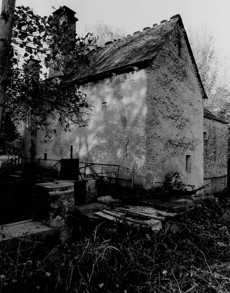 moulin à farine, moulin à huile, usine de menuiserie dit Moulin de Cénaret