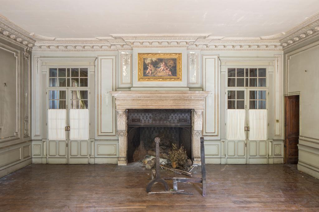 décors d'architecture du grand salon : plafond, lambris de hauteur, tableaux (3), cheminée, miroirs de trumeaux (2)