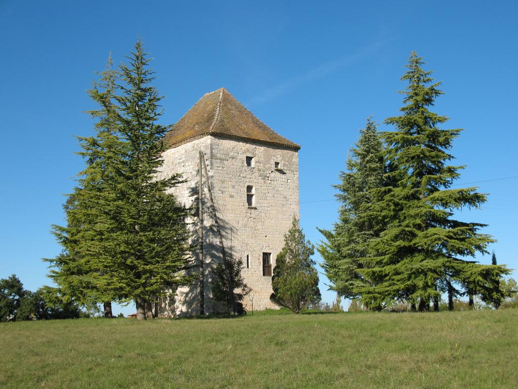 commanderie de templiers puis d'hospitaliers de Saint-Jean-de-Jérusalem, dite Tour de Trébaïx