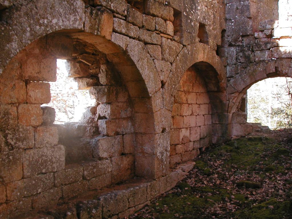 ensemble castral : castrum